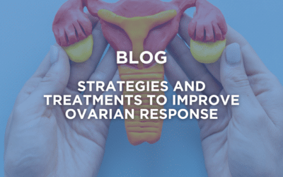 Low ovarian reserve: strategies and treatments to improve ovarian response