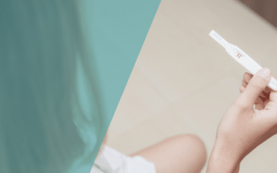 Was sind die Hauptursachen für Anovulation und wie wird sie in der Kinderwunschbehandlung diagnostiziert und behandelt?