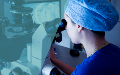 Was ist eine Blastozyste und warum wird der Blastozystentransfer in der assistierten Reproduktion bevorzugt?