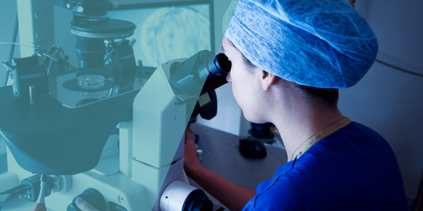 Was ist eine Blastozyste und warum wird der Blastozystentransfer in der assistierten Reproduktion bevorzugt?