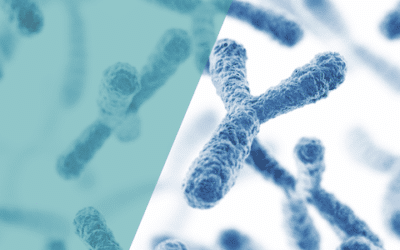 Was ist eine Chromosomenanalyse und wie hilft sie, genetische Ursachen von Unfruchtbarkeit zu identifizieren?