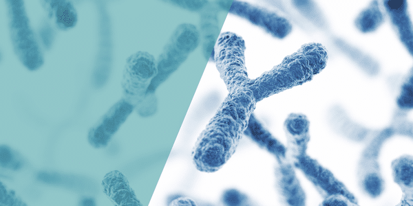 Was ist eine Chromosomenanalyse und wie hilft sie, genetische Ursachen von Unfruchtbarkeit zu identifizieren?