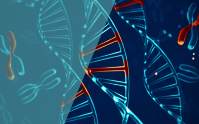 Welche Chromosomenanomalien können die Fruchtbarkeit beeinflussen und wie werden sie diagnostiziert?