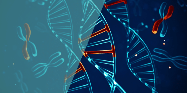 Welche Chromosomenanomalien können die Fruchtbarkeit beeinflussen und wie werden sie diagnostiziert?
