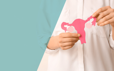 Welche Rolle spielt das Choriongonadotropin in der Schwangerschaft und wie wird es in der Kinderwunschbehandlung eingesetzt?