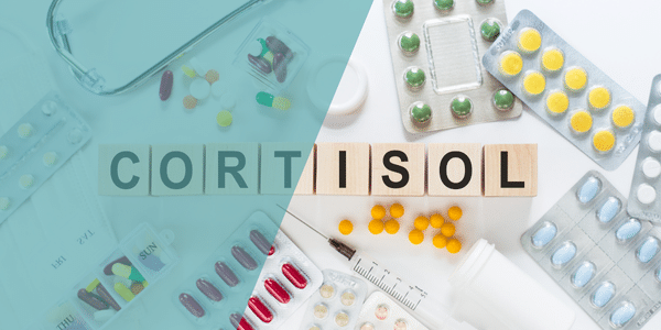 Wie beeinflusst Cortisol die Fruchtbarkeit und welche Rolle spielt Stress bei der Konzeption?