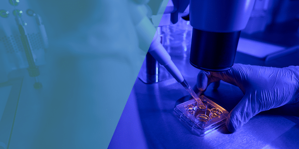 Was ist der Embryotransfer und welche Faktoren beeinflussen dessen Erfolgschancen?