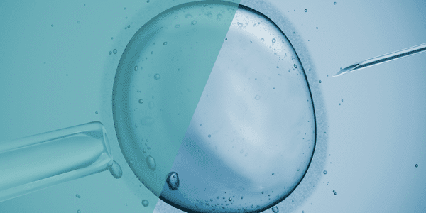Welche Möglichkeiten gibt es zur Bewahrung der Fertilität, insbesondere bei Frauen mit Krebserkrankungen?
