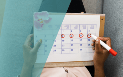 Welche Rolle spielen Follikel im Menstruationszyklus und bei der assistierten Reproduktion?