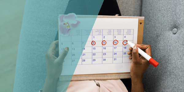 Welche Rolle spielen Follikel im Menstruationszyklus und bei der assistierten Reproduktion?